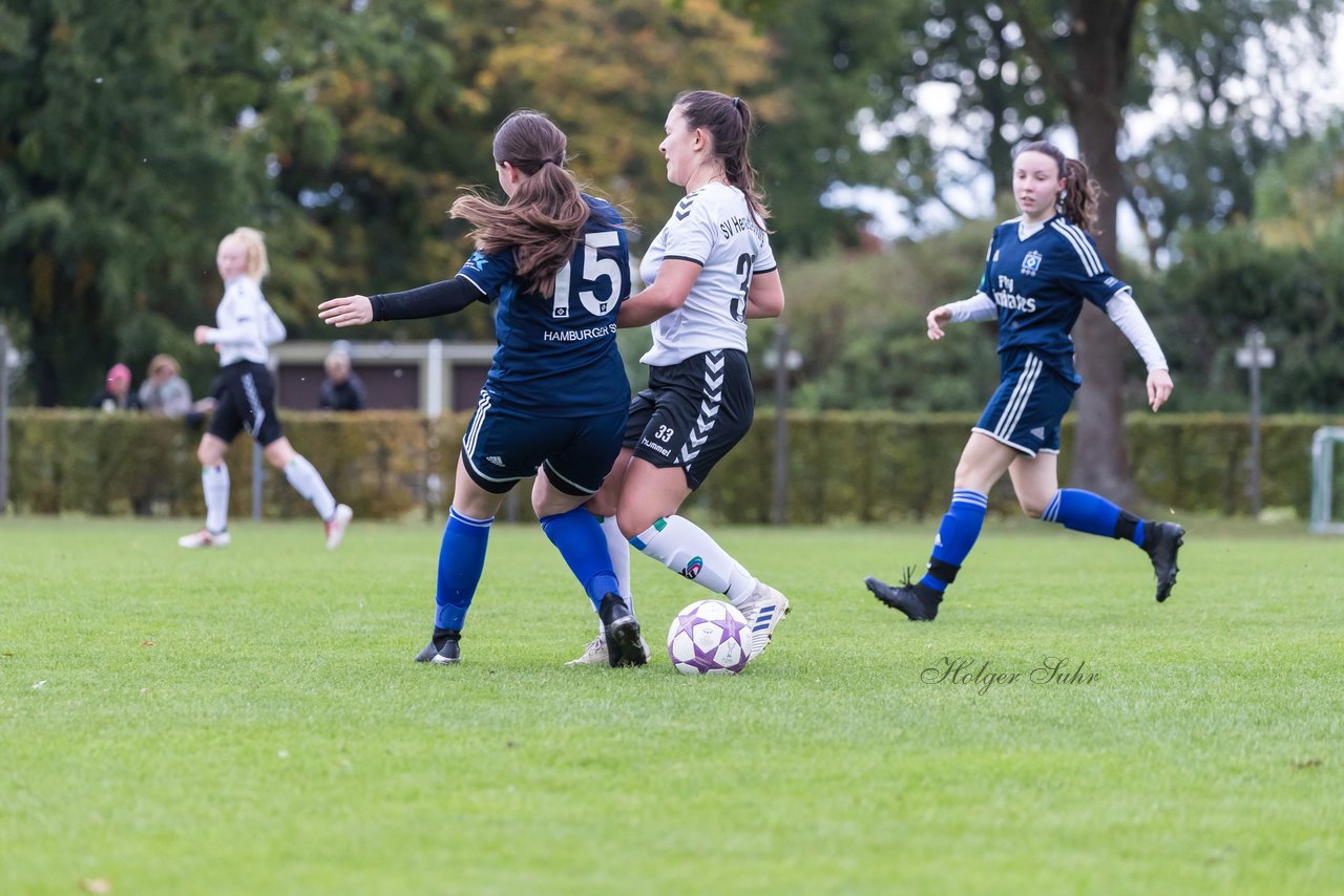 Bild 117 - B-Juniorinnen SV Henstedt Ulzburg - Hamburger SV : Ergebnis: 2:3